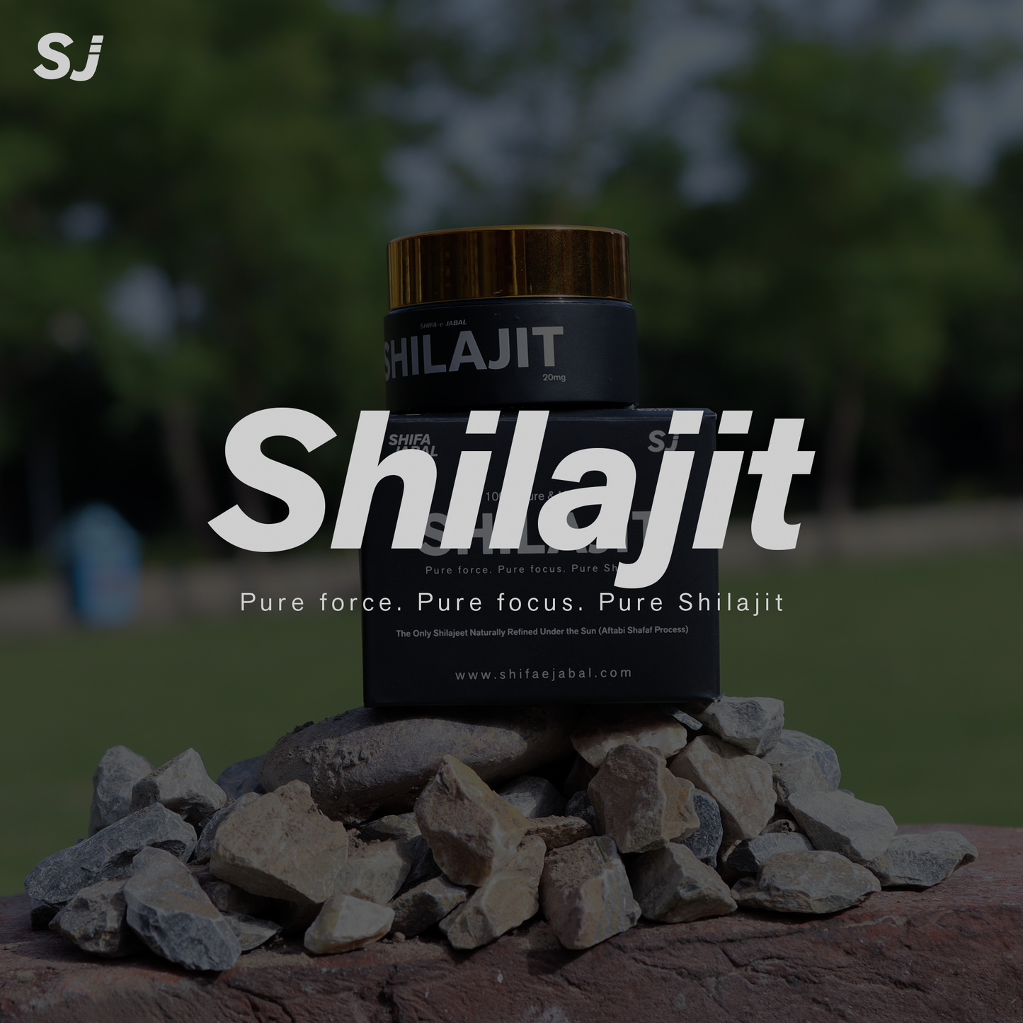 shifa e jabal - Himalayan Shilajit 20 gm